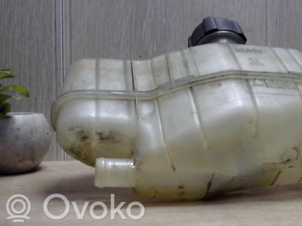 Renault Clio III Vas expansiune/rezervor lichid de răcire 