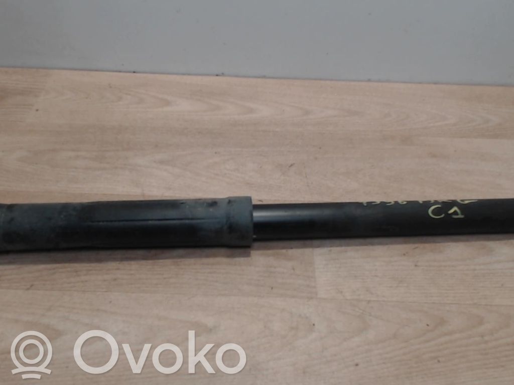 Stoßdämpfer hinten   1610864380,1610864380