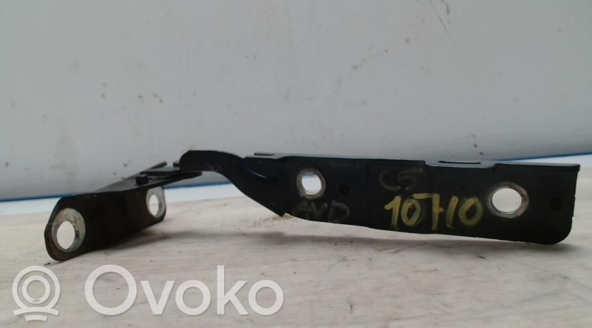 Konepellin saranat   00007912C5,00007912C5