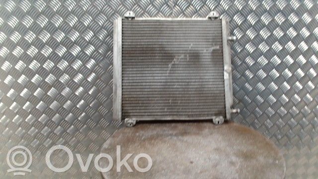 Renault Twingo I Set del radiatore 