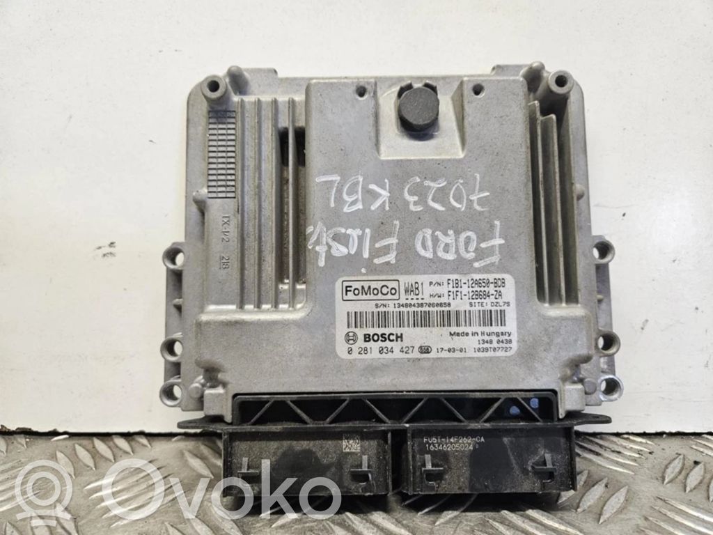 Engine control unit/module ECU   F1B112A650BDB