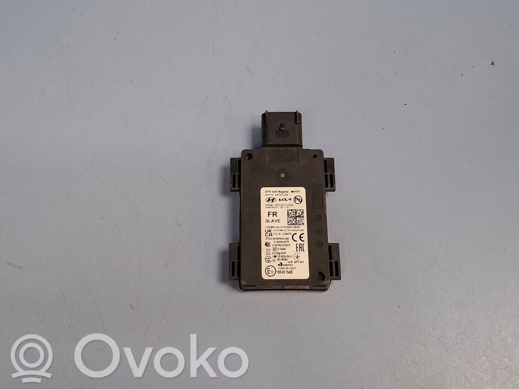 KIA EV6 Módulo de control de punto muerto 