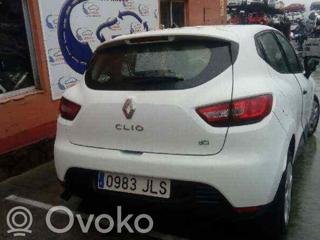 Amortizor spate   543020808R