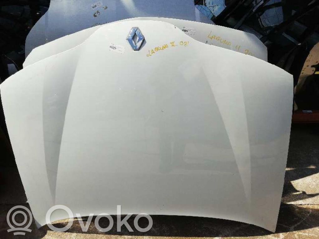 Motorhaube