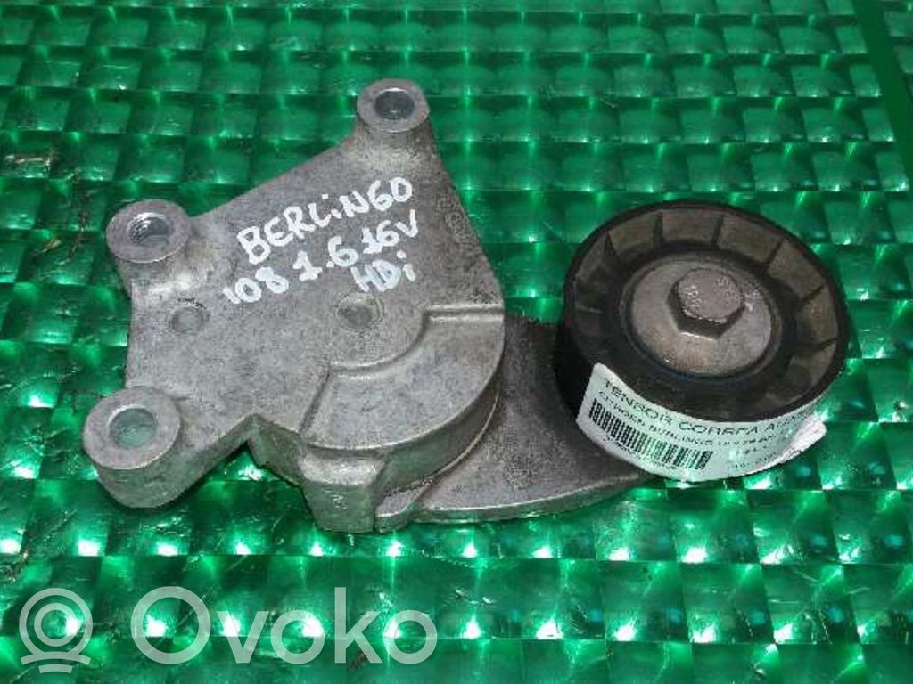 Tensor de correa del alternador   TF129B