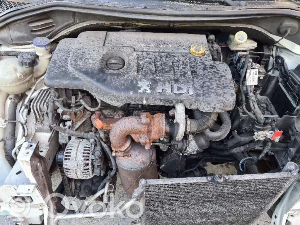 Motor   8HZ