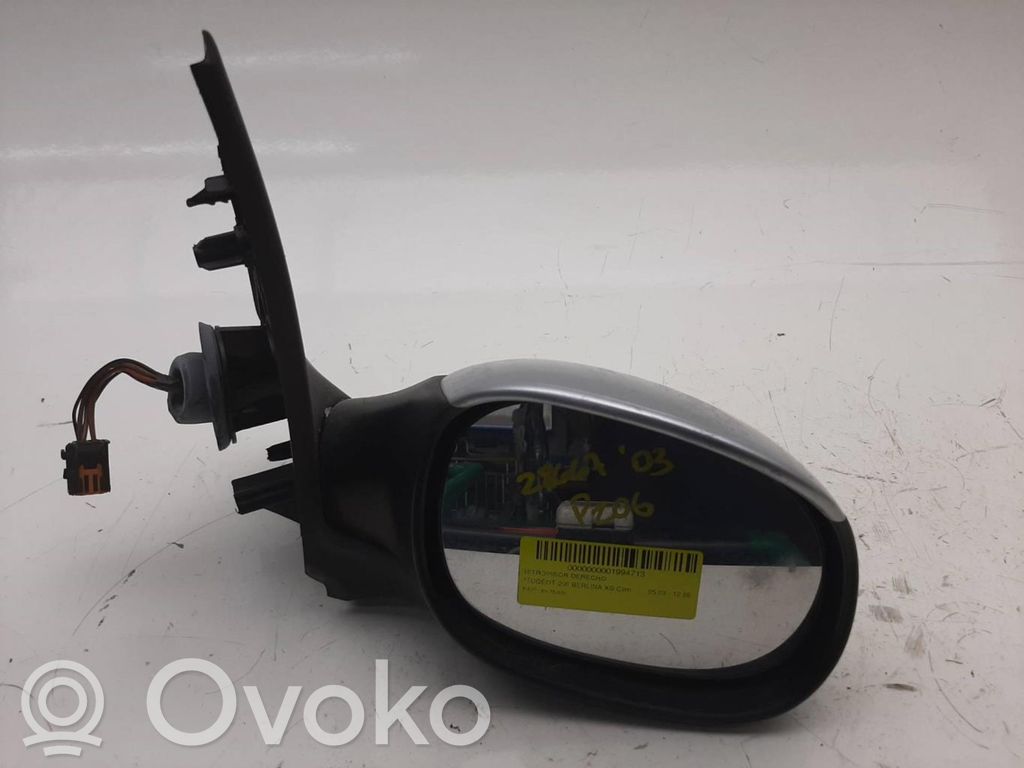 Peugeot 206+ Specchietto retrovisore elettrico portiera anteriore 