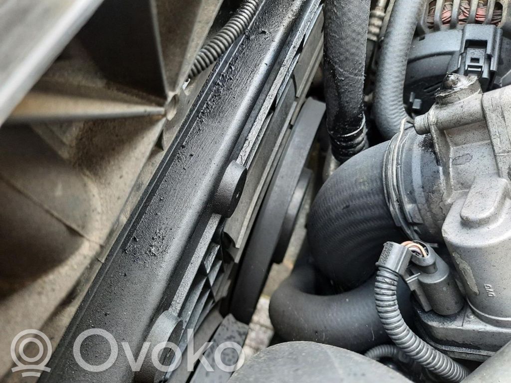 Seat Leon (1P) Frigorifero furgone