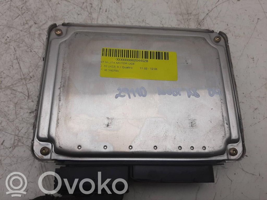 Unité de commande, module ECU de moteur   4E0907560