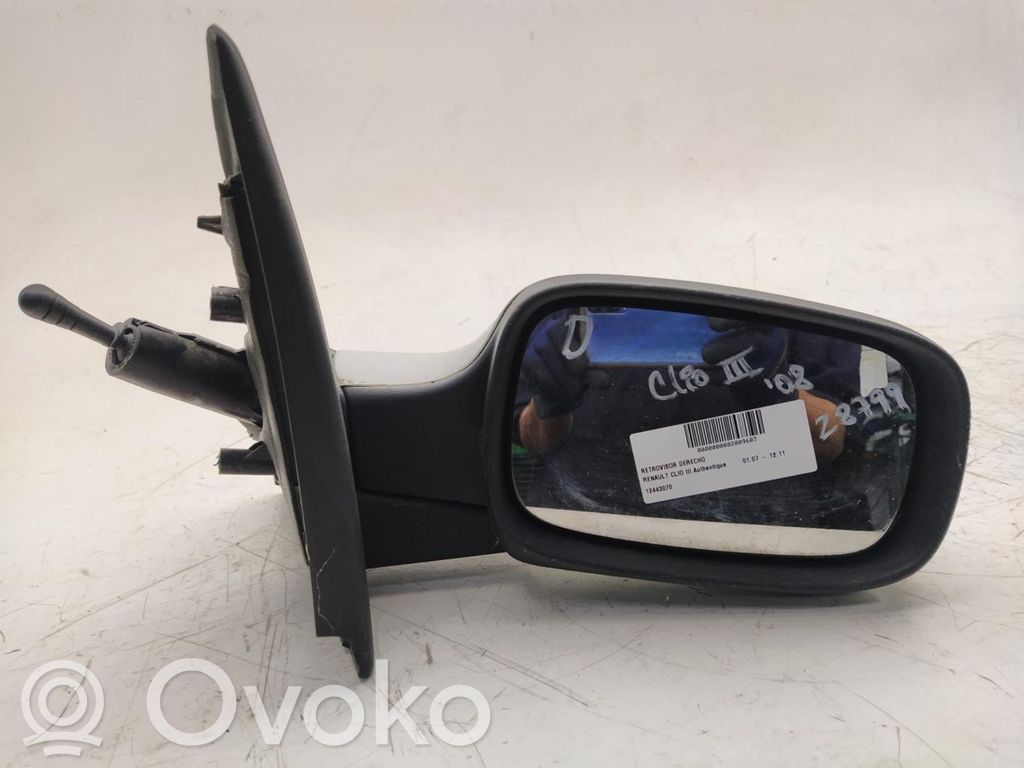 Renault Clio III Elektryczne lusterko boczne drzwi przednich 