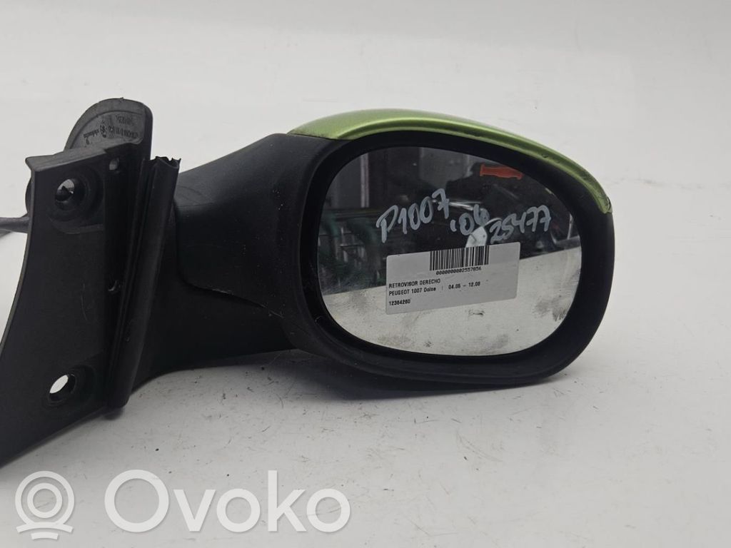 Peugeot 207 CC Elektryczne lusterko boczne drzwi przednich 
