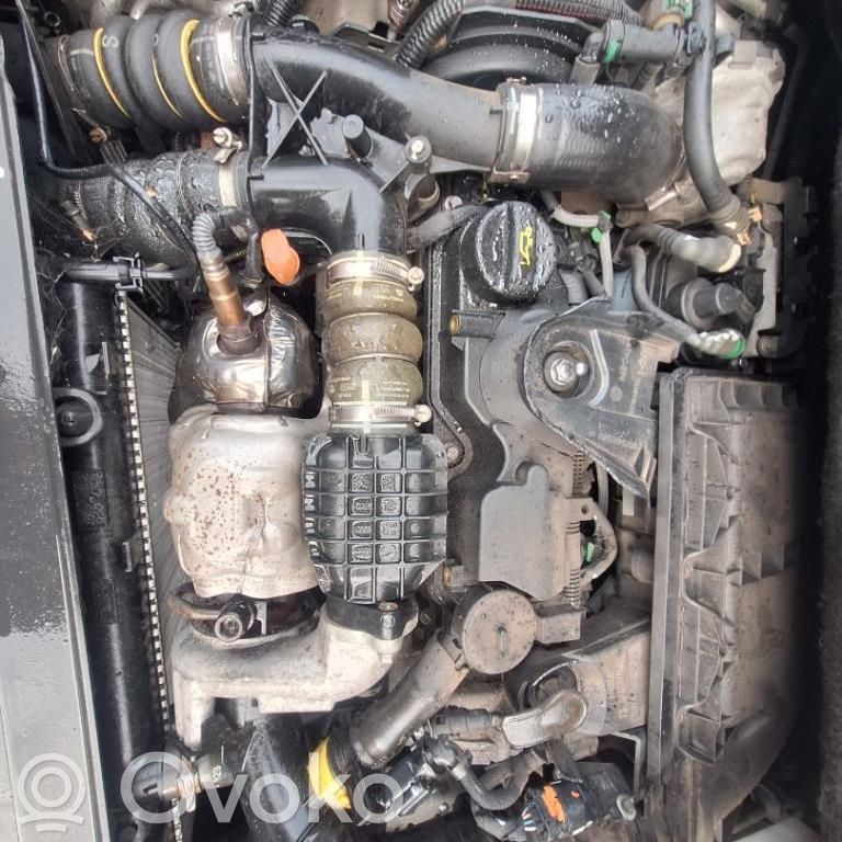 Motor