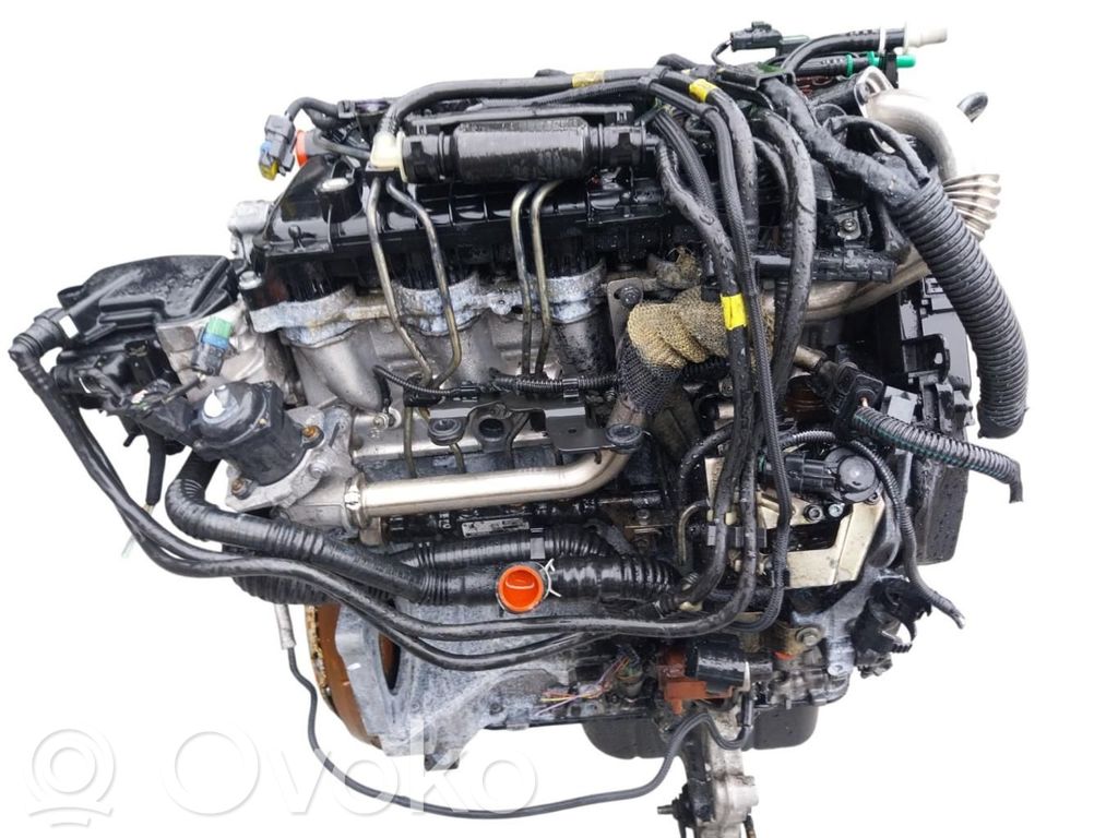 Motor