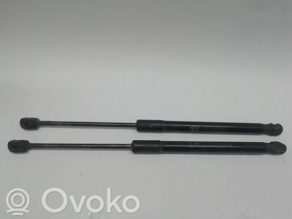 Tailgate/trunk strut/damper   81770A2000