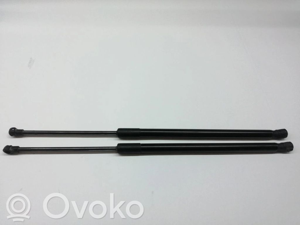 Tailgate/trunk strut/damper