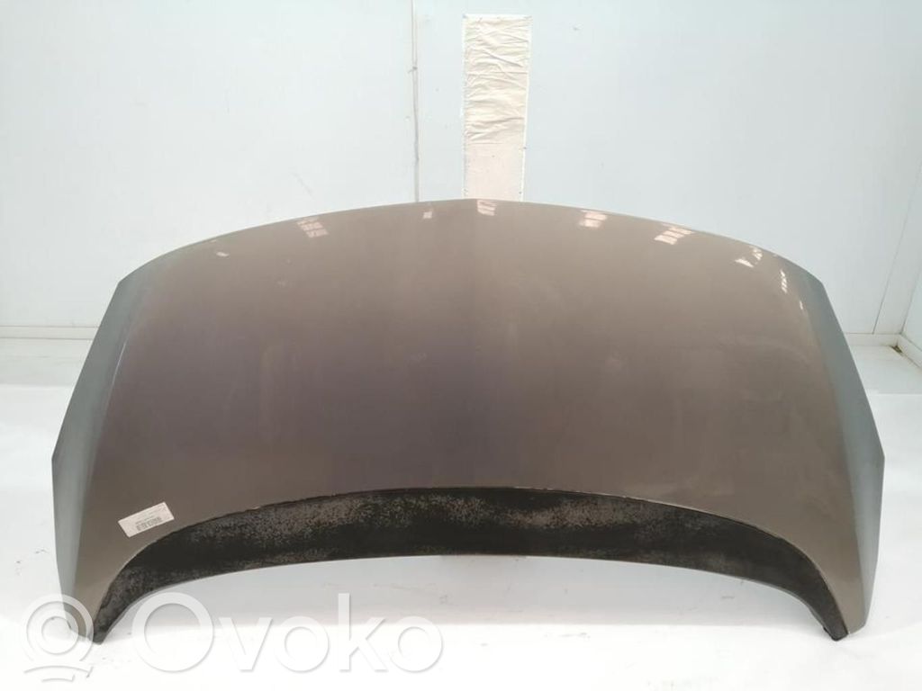 Vano motore/cofano   93167925