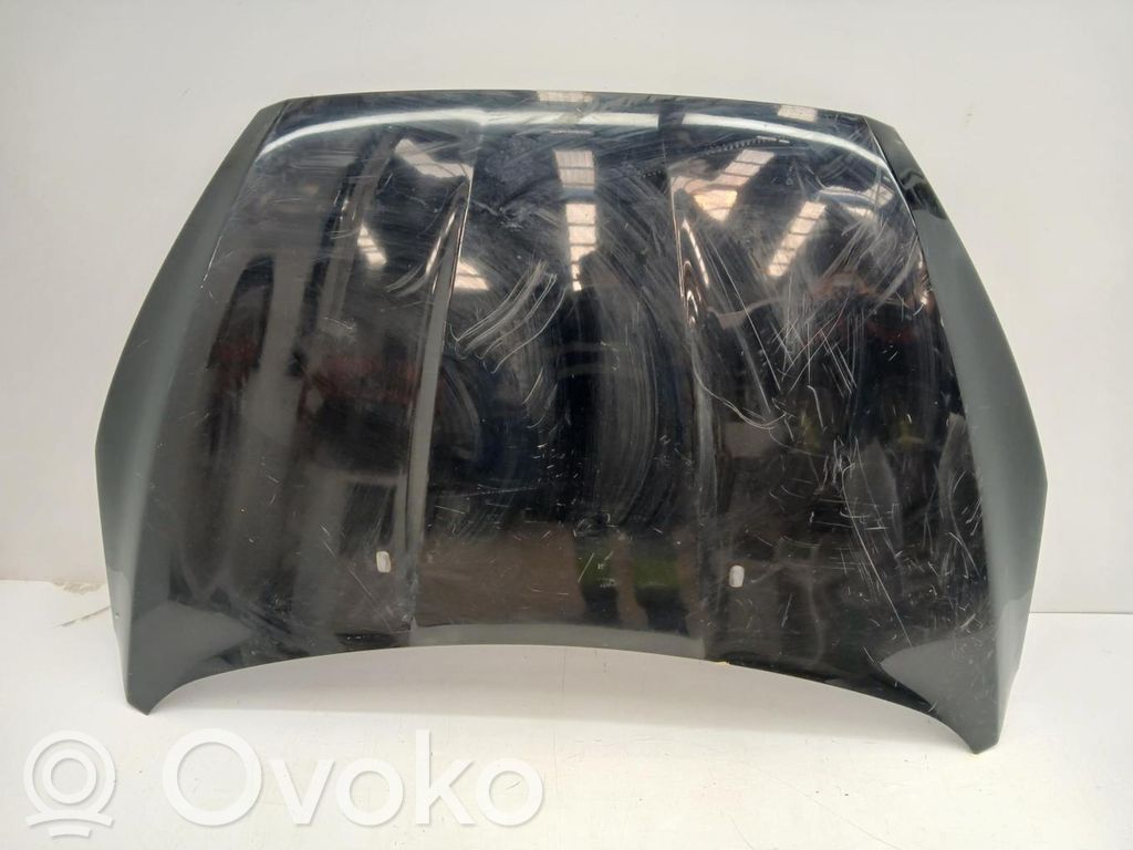 Vano motore/cofano   1852919