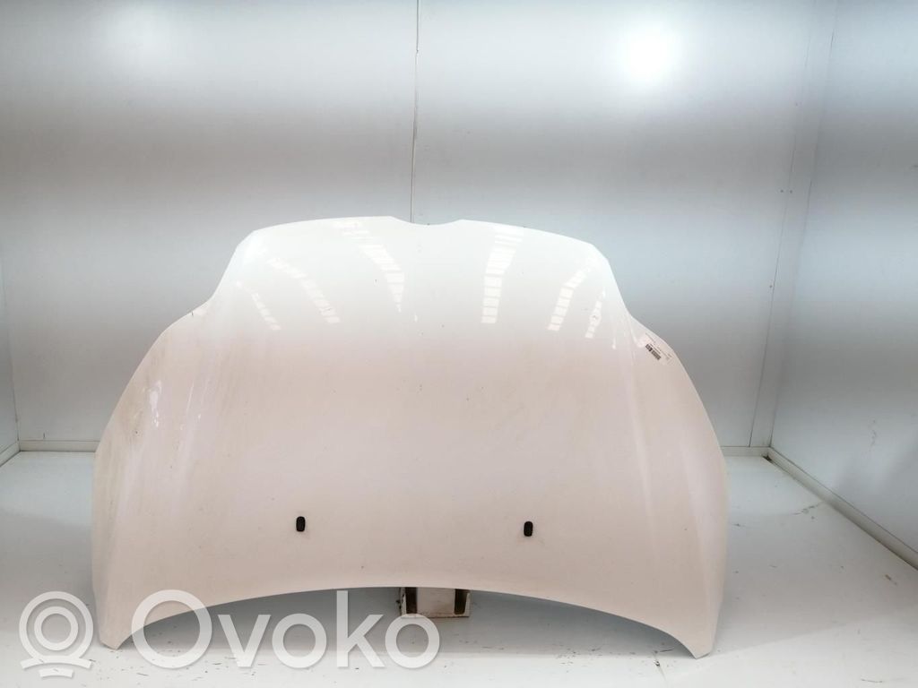 Motorhaube   1797477