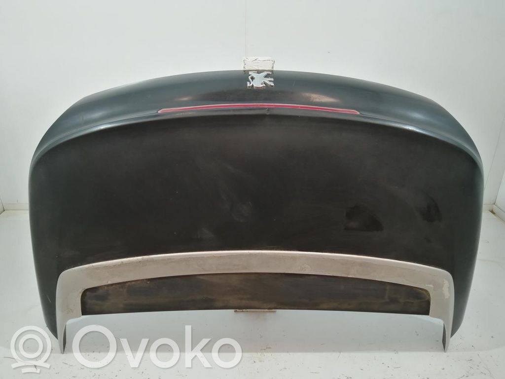 Peugeot 207 CC Copertura per maniglia portiera posteriore 