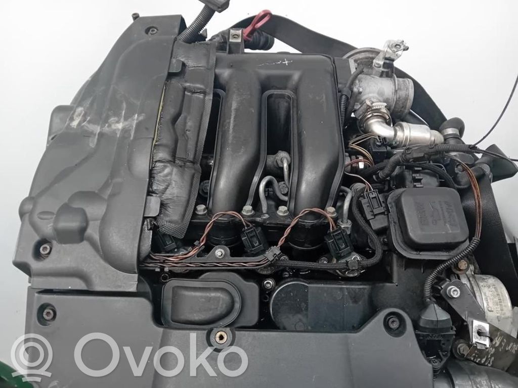 Motor   204D4
