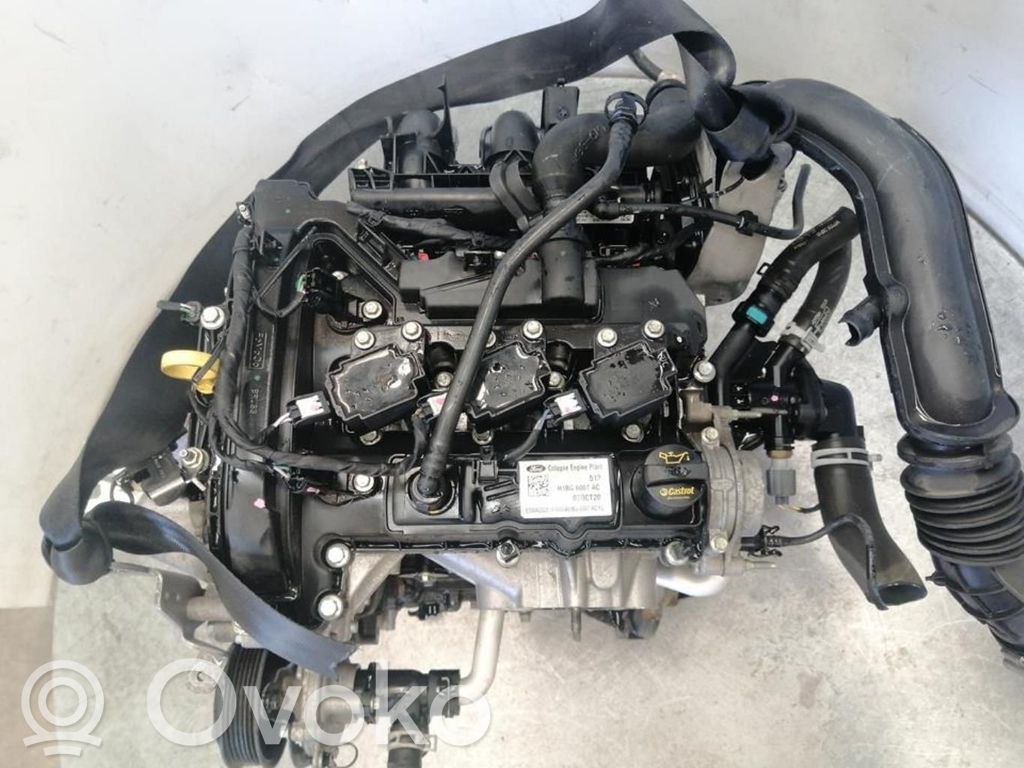 Motor   FSJA