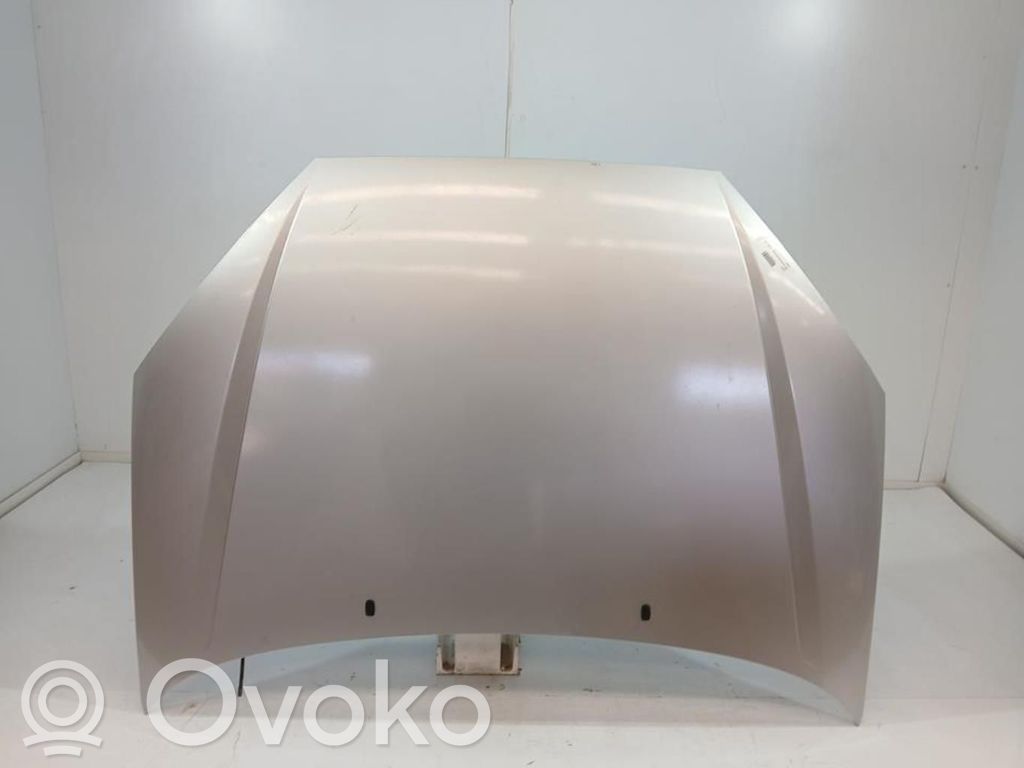 Motorhaube   1430131