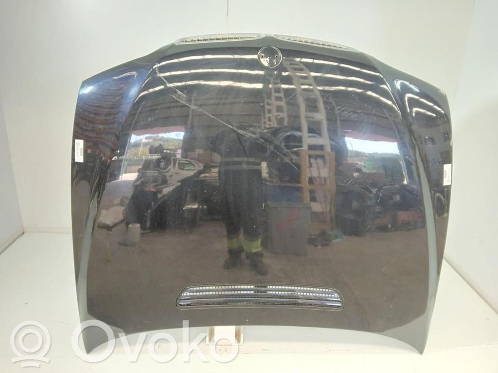 Capó/tapa del motor   41617043239