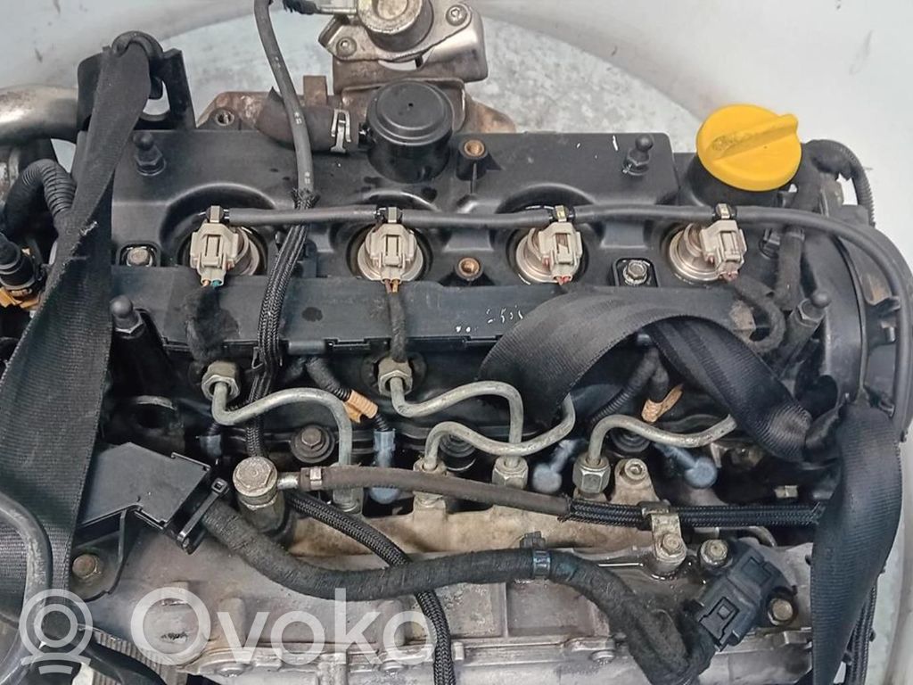 Motor   Z17DTR