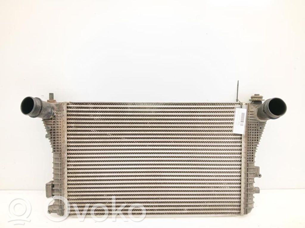 Radiatore intercooler   3C0145805AM