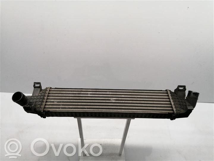 Ford Focus Radiator intercooler