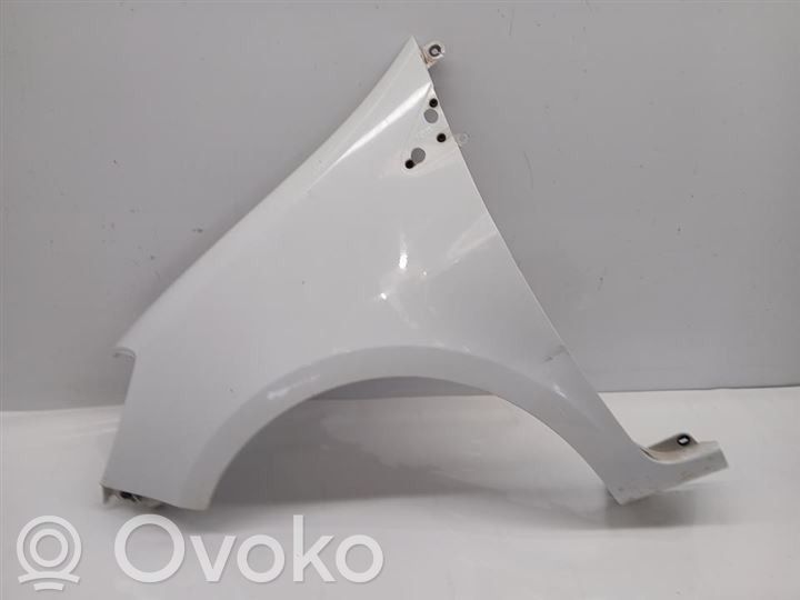 Renault Clio III Kotflügel 