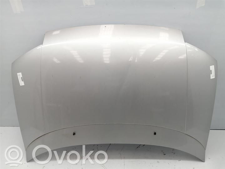Mitsubishi Space Wagon Motorhaube