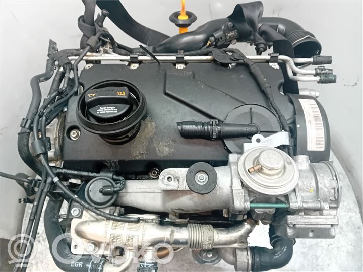 Volkswagen Jetta V Motor