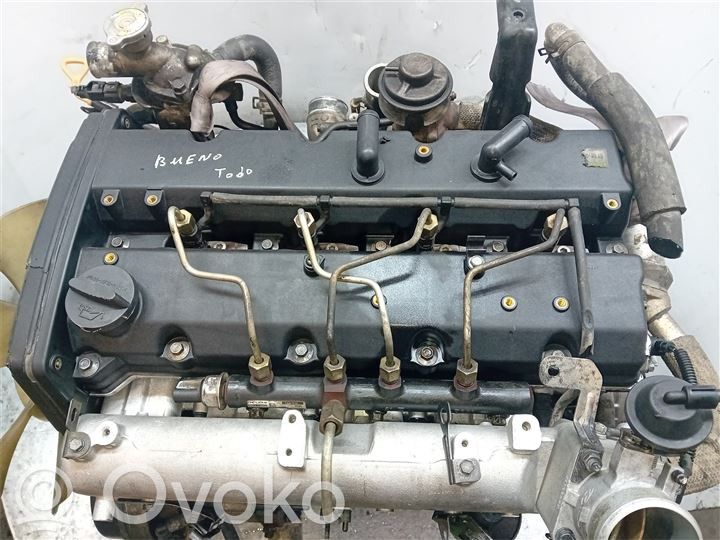 Hyundai Terracan Motor