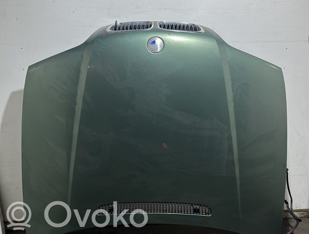 Motorhaube   41618238461