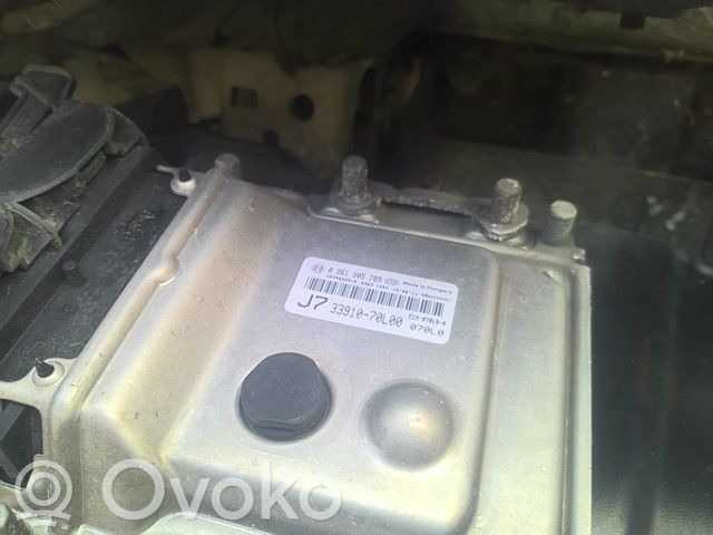 Engine control unit/module   3391070L00