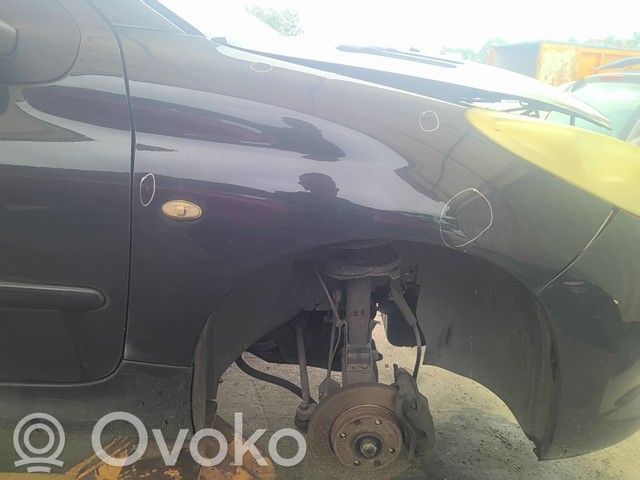Peugeot 206+ Lokasuoja 