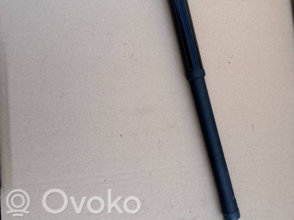 Toyota RAV 4 (XA50) Amortizor hayon 