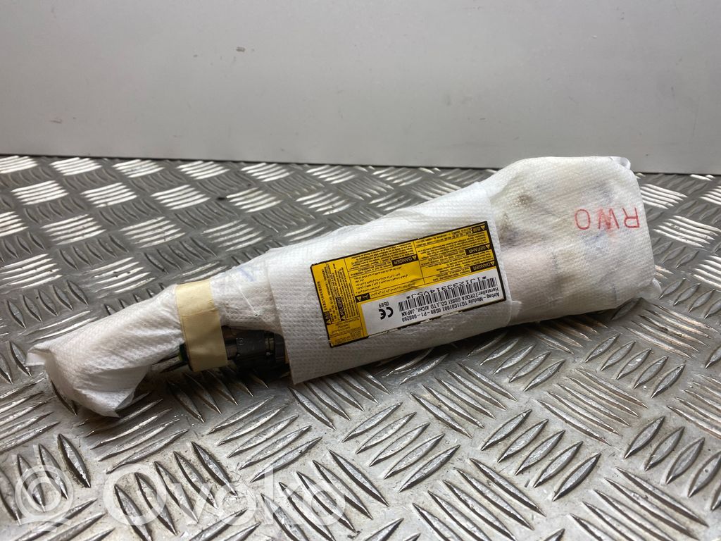 Sitz-Airbag   0589P1000260