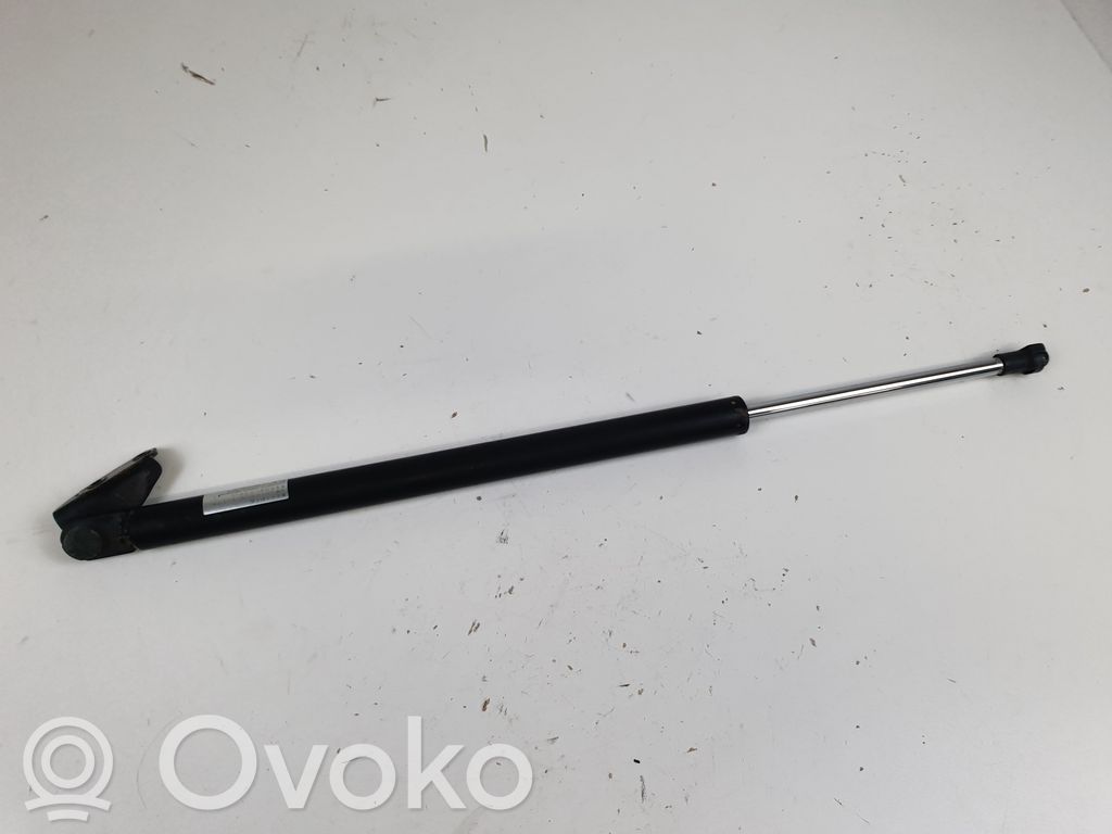 Tailgate/trunk strut/damper