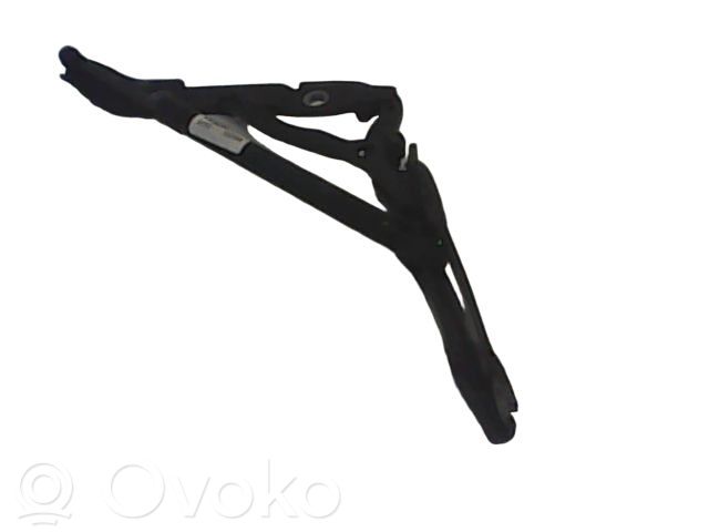 Tailgate/trunk/boot hinge