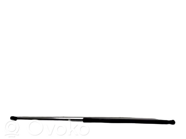 Volkswagen PASSAT B6 Front bonnet/hood damper/strut 