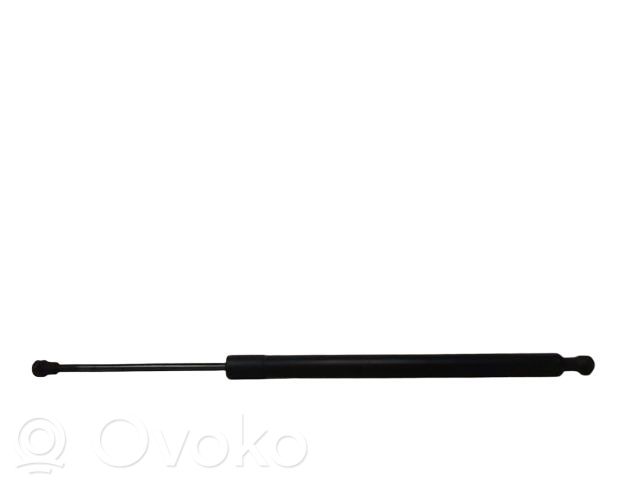 Renault Modus Amortizor hayon 