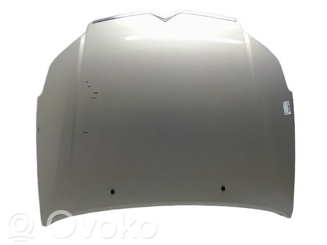 Citroen C5 Vano motore/cofano 