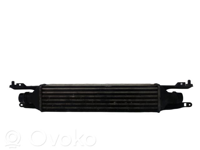 Ford Ka Interkūlerio radiatorius 