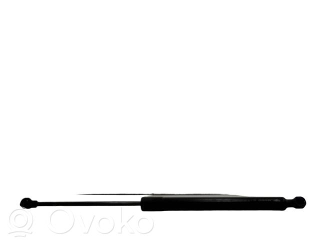 Renault Zoe Tailgate/trunk strut/damper 