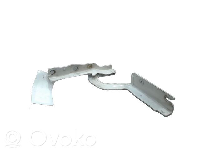 Engine bonnet/hood hinges   791295,791295