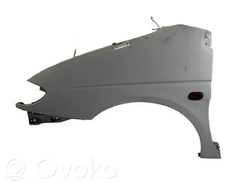 Renault Scenic I Fender 