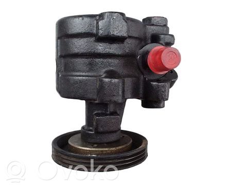 Renault 19 Power steering pump 