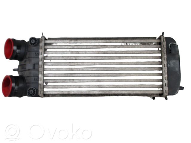 Citroen DS3 Radiador intercooler 